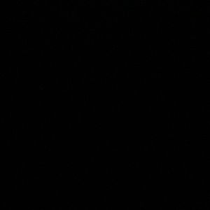 Meet your Posher, Brisa